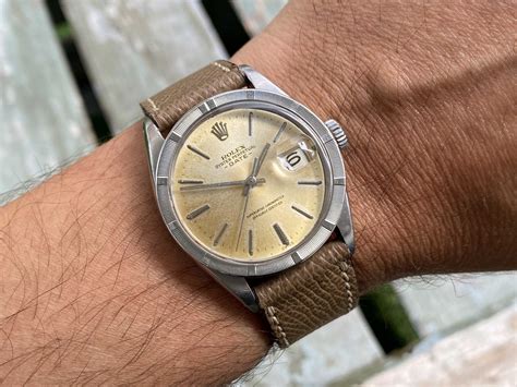 rolex 1560 dial